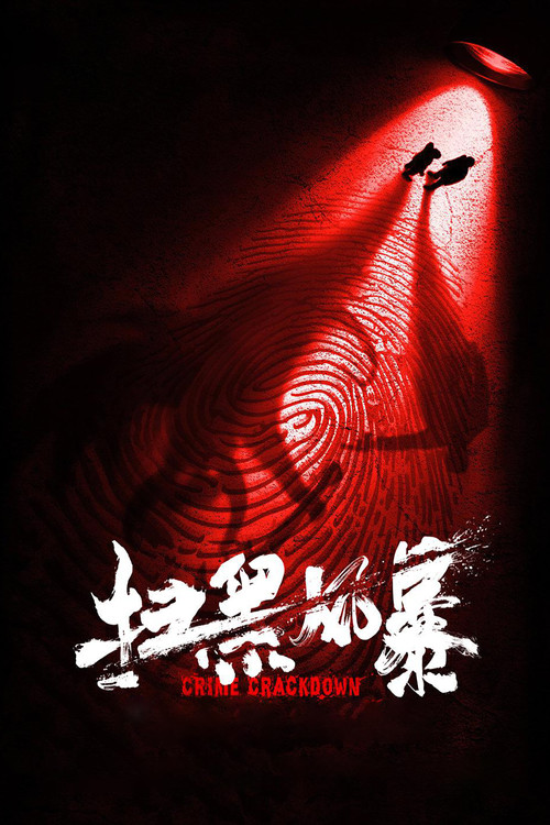 扫黑风暴海报