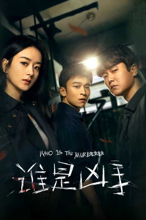 谁是凶手海报