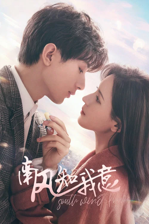 南风知我意海报