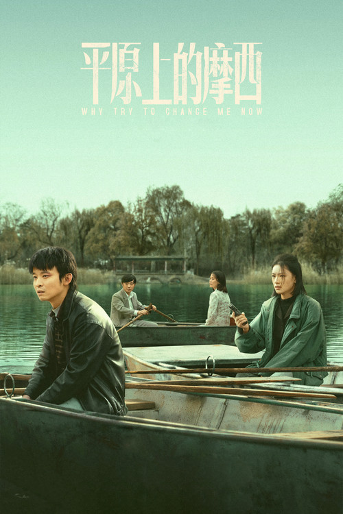 平原上的摩西海报