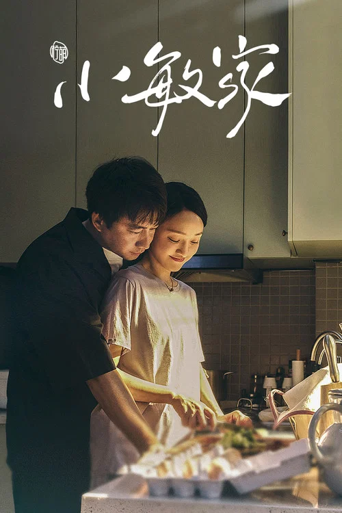 小敏家海报