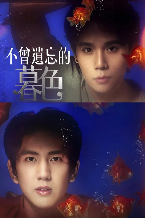 不曾遗忘的暮色海报