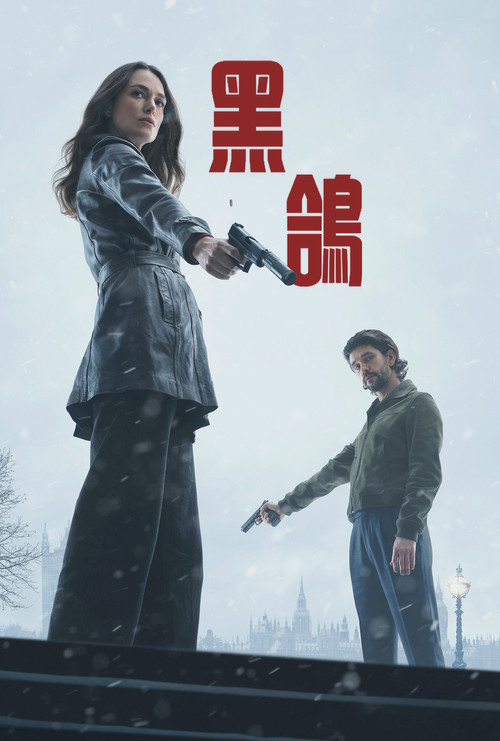 黑鸽 第一季海报