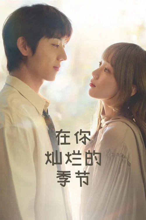 在你灿烂的季节海报