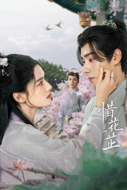惜花芷海报