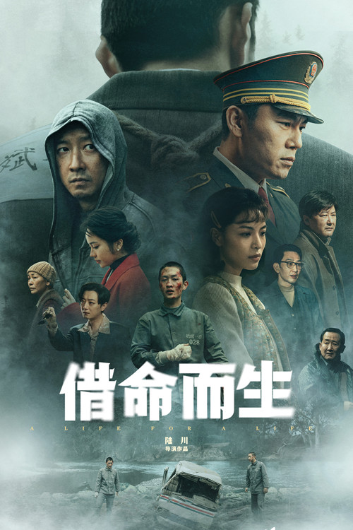 借命而生海报