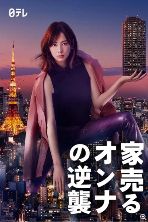 卖房子的女人的逆袭海报