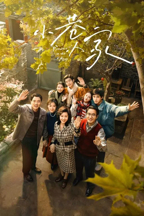 小巷人家海报