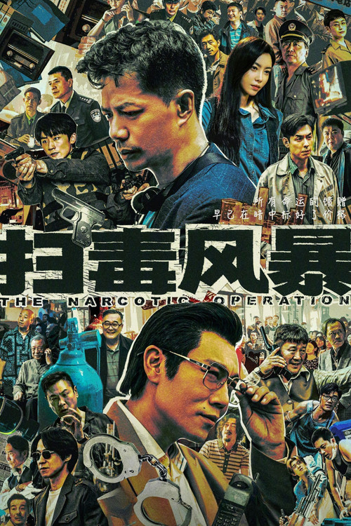 扫毒风暴海报