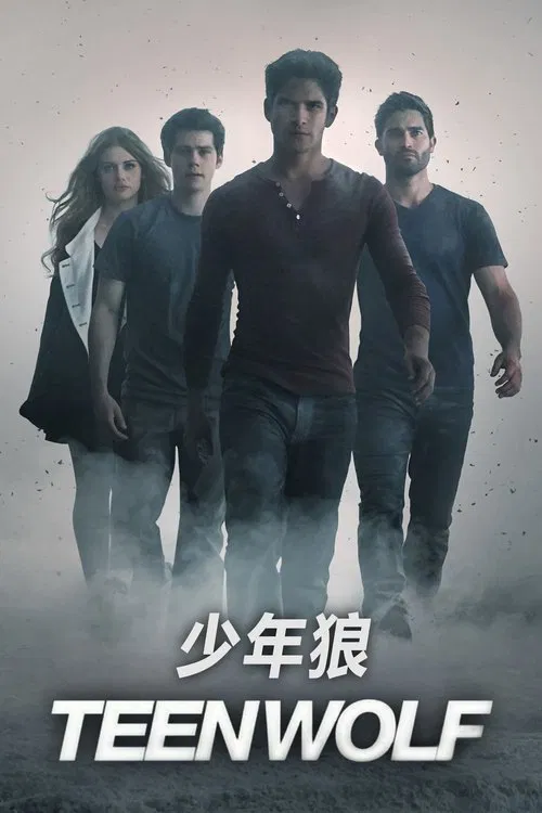 少狼 第一季海报