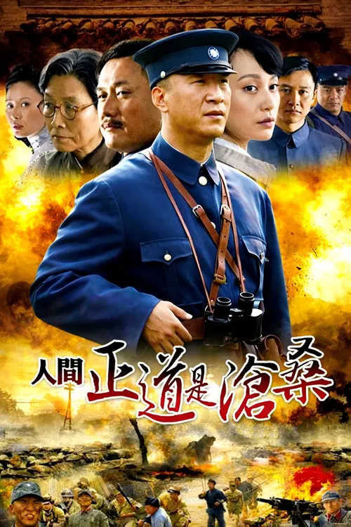 人间正道是沧桑海报