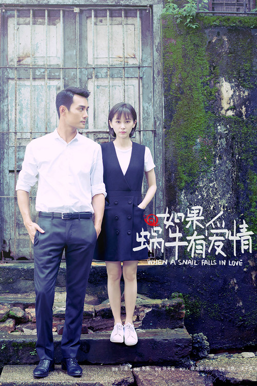 如果蜗牛有爱情海报
