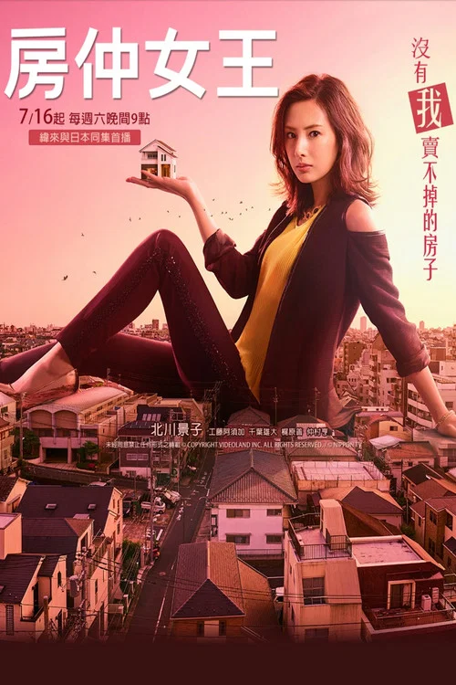 卖房子的女人海报