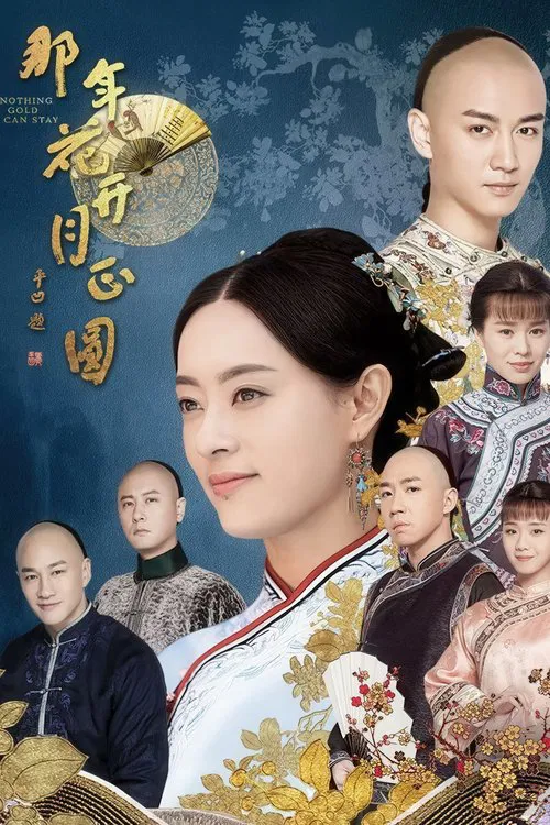 那年花开月正圆海报