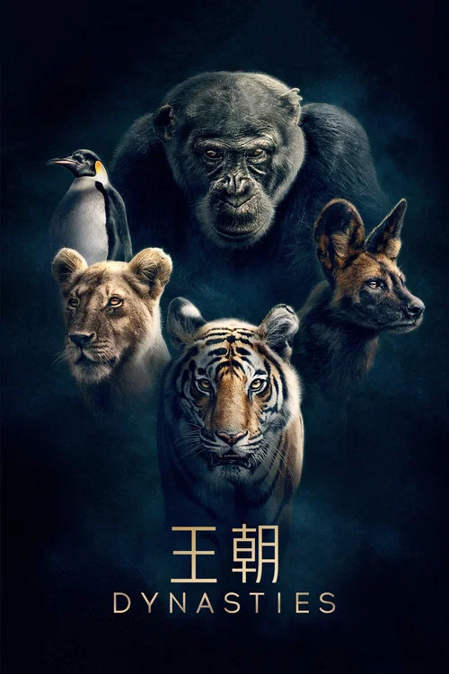 王朝 第一季海报