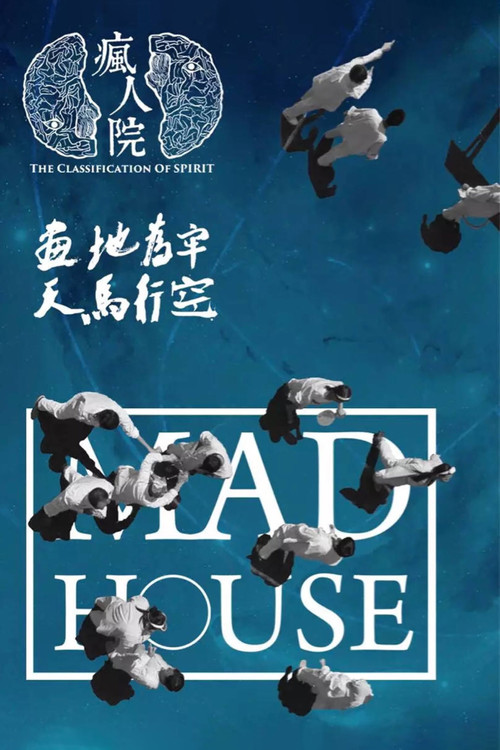 疯人院海报