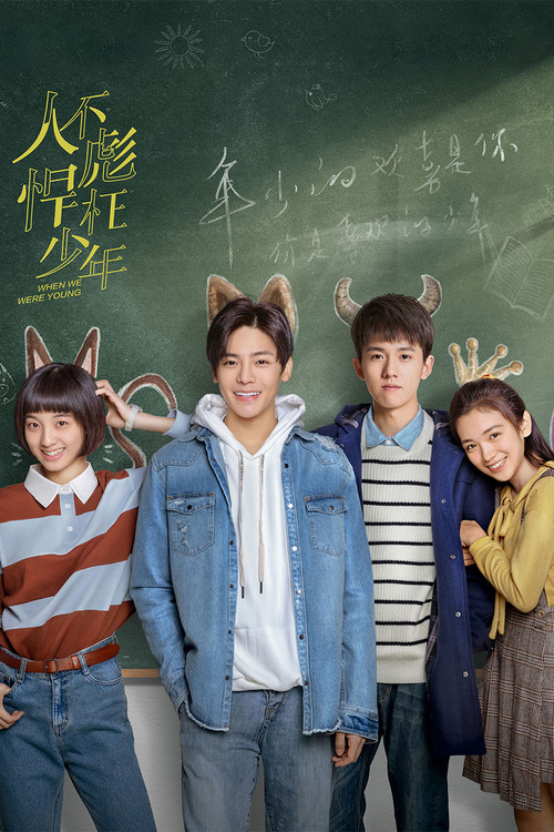 人不彪悍枉少年海报