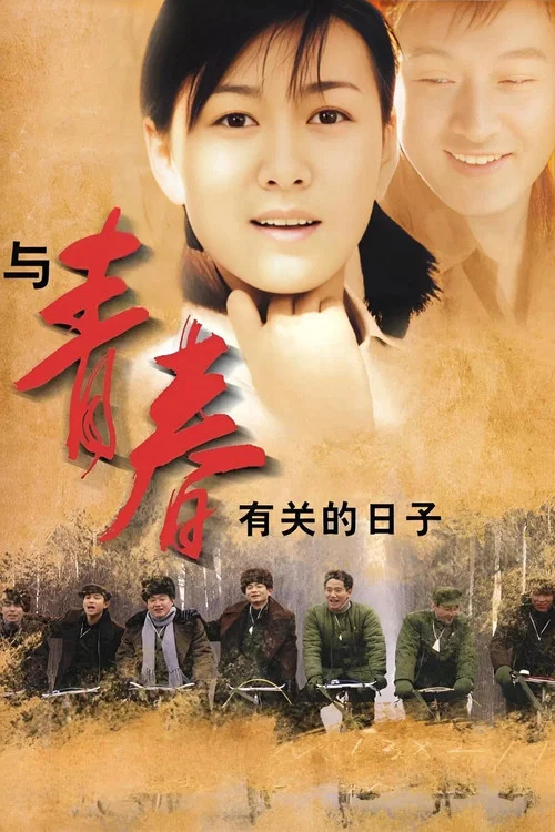 与青春有关的日子海报