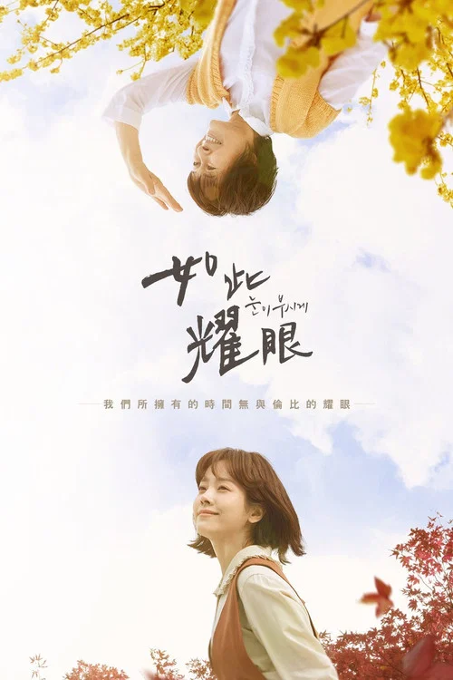 耀眼海报