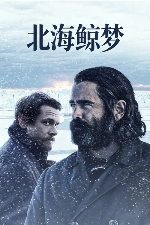 北海鲸梦海报