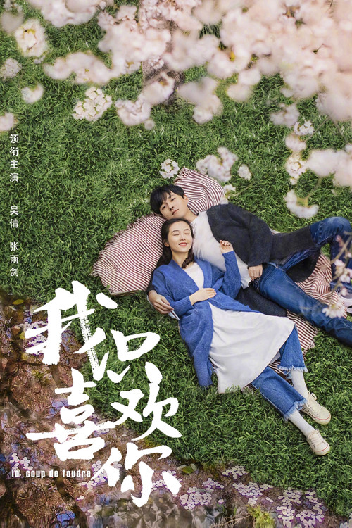 我只喜欢你海报
