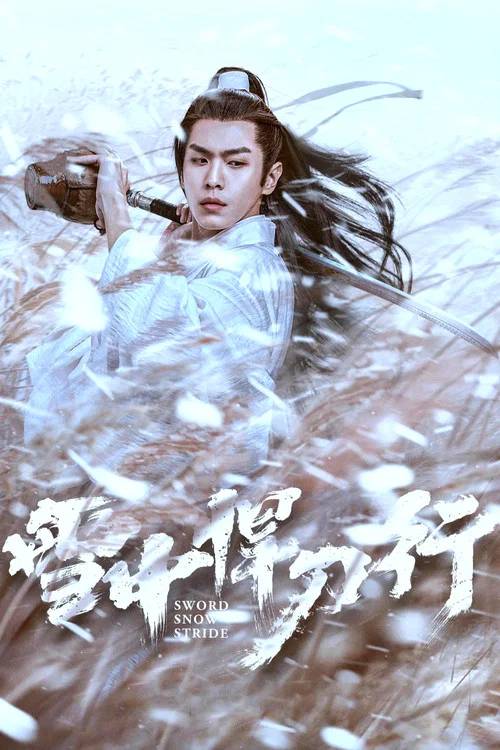 雪中悍刀行海报